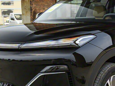 2025�� 55km ������