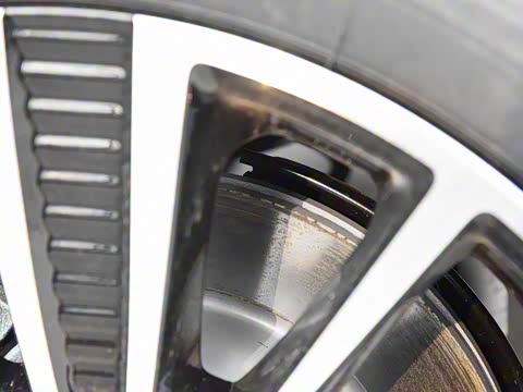 2019�� ���������