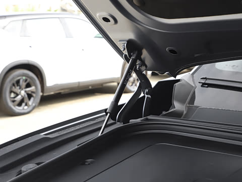 2025�� 636Ultra���Ȱ� 5��