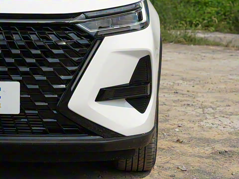 2024�� �ھ��� 290T ������ҫ�� 5��