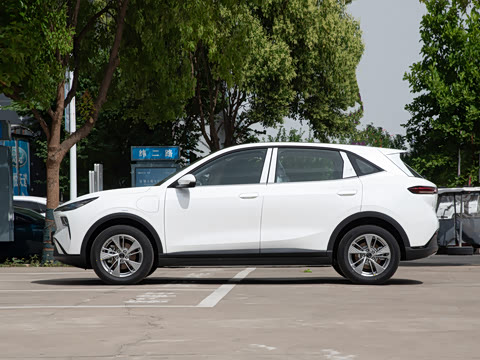 2025�� 445km ���ð�