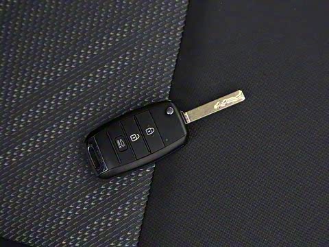 2019�� 1.6L �Զ����а� ��VI