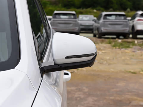 2023�� �ھ��� DM-i 110KM��Խ��