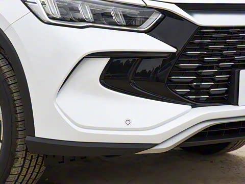 2023�� �ھ��� DM-i 110KM��Խ��