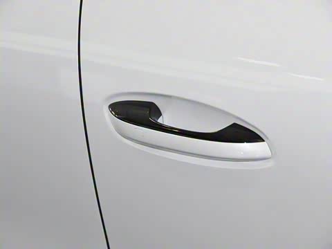 2020�� PHEV�˶���