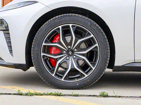 2025�� ���� 230ProѲ����