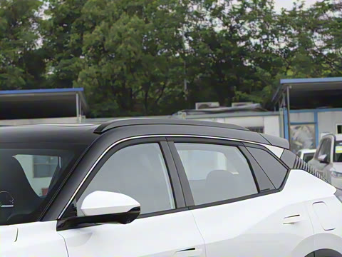 2025�� 205��������������