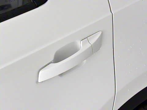 2019�� 1.5T �Զ���ɫ�� ��VI