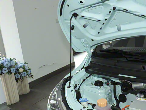 2026�� Mate 305km ����̤�˰�