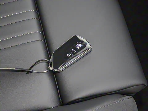 2024��  300TSI DSG���������۰�