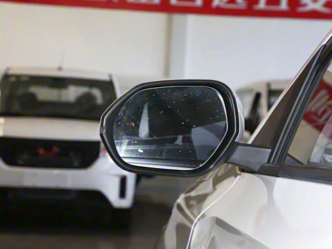 2023�� 2.0L DHT ��׼��