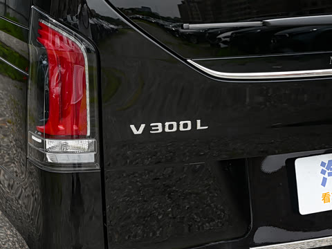 2025�� V 300 L ����������