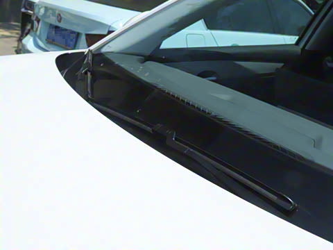 2025�� 445km ��ѡ��