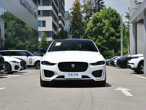 2025�� 2.0T 250PS R-DYNAMIC 90�����ذ�