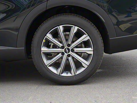 2025�� 120 �������������� 5�� �������