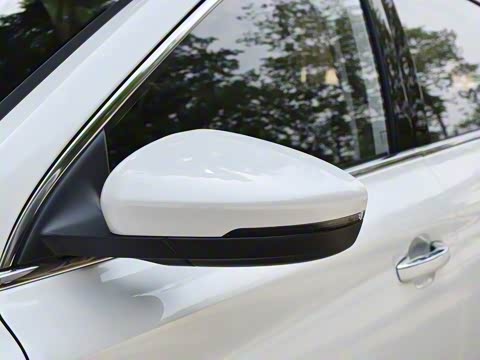 2019�� 20T �ֶ��˶���