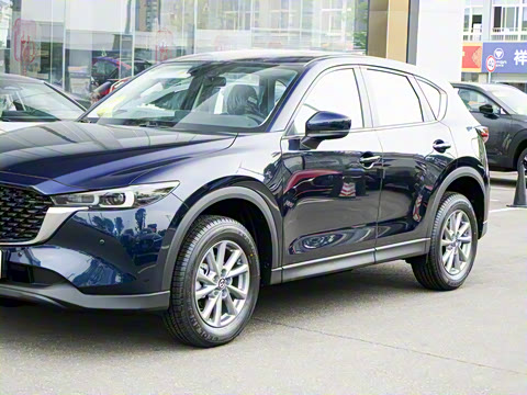 2025�� 2.0L �Զ�����������