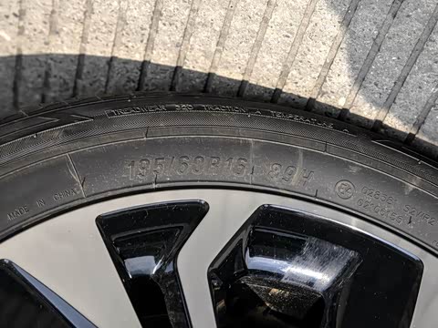 2019�� ������������