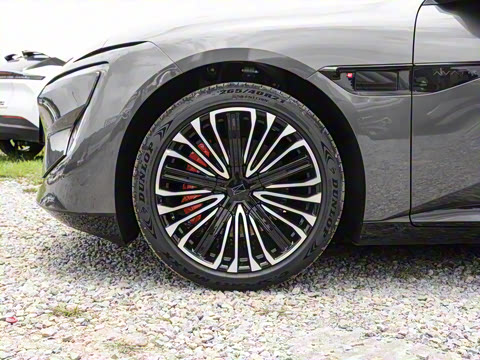 2025�� �Ŀ� Max���̰�