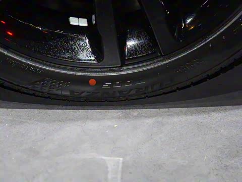 2019�� 50T Trophy 5���