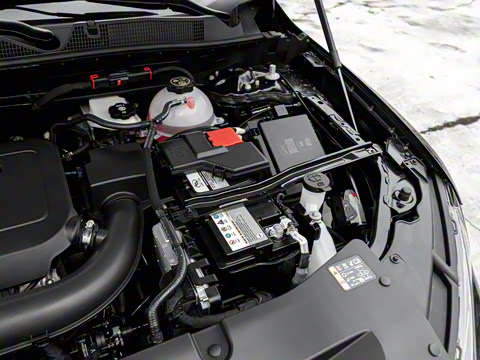 2022�� ��� 650T Redline 7�� ����