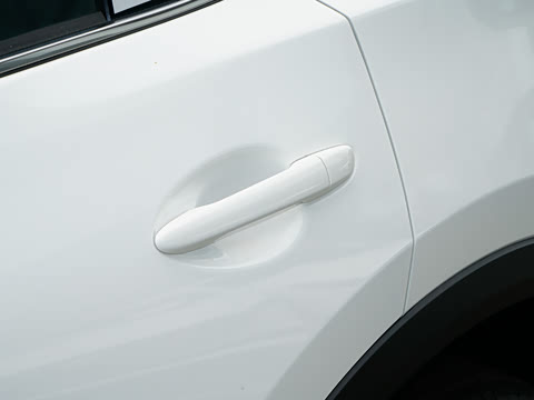 2025�� 2.0L �Զ���������Pro