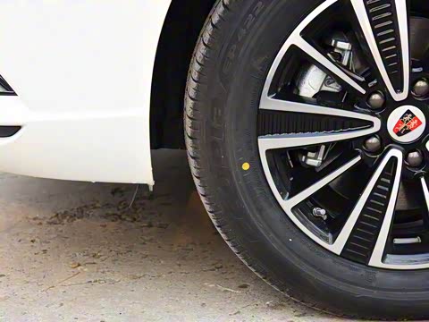 2019�� ���������