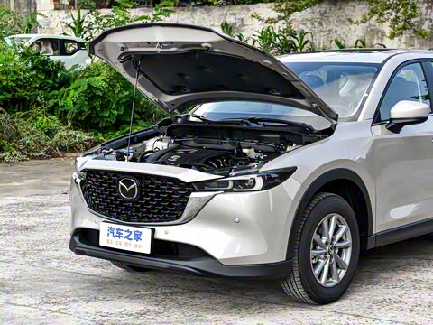 2025�� 2.0L �Զ���������Pro