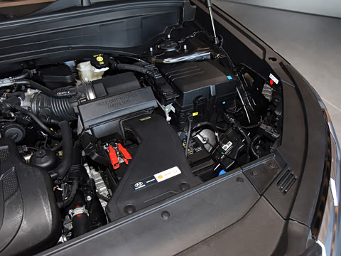 2023�� 3.5L �Զ�����Calligraphy