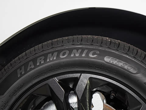 2025�� 1.5L ��ҫ��