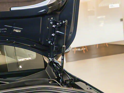 2025�� �Ŀ� B6 ��Զ������ 6��