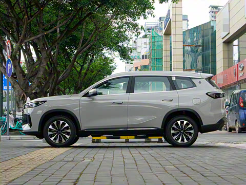 2025�� 290TGDI DCT�˷�� 