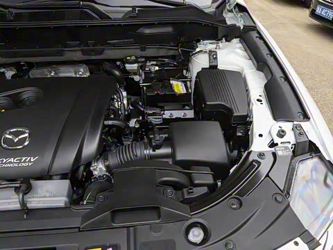 2020�� �Ŀ� 2.0L �Զ�����������