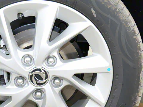 2021�� 2.0L �ֶ������� 7��