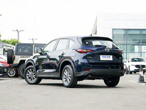 2025�� 2.0L �Զ�����������