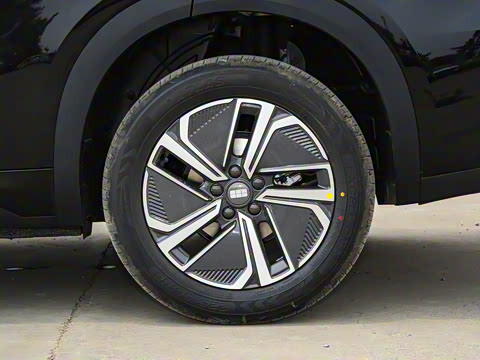 2025�� 55km ������