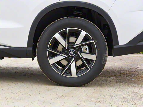 2023�� �ھ��� DM-i 110KM��Խ��