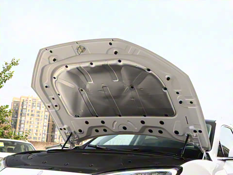 2022�� �������������