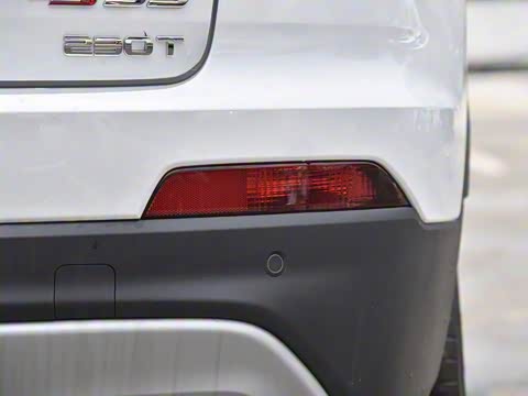 2019�� 1.5T �Զ���ɫ�� ��VI