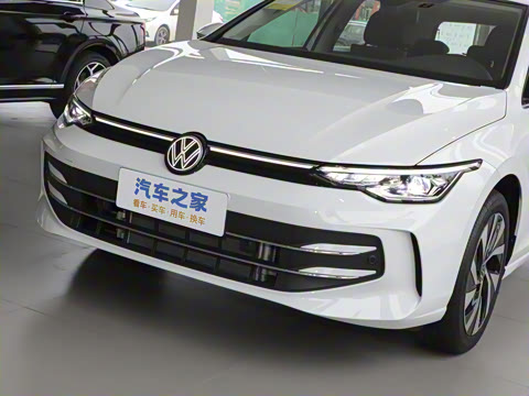 2025�� �Ŀ� 300TSI Pro