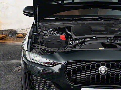 2025�� 2.0T 250PS R-DYNAMIC 90�����ذ�