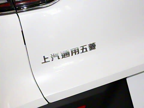 2023�� 2.0L DHT ��׼��