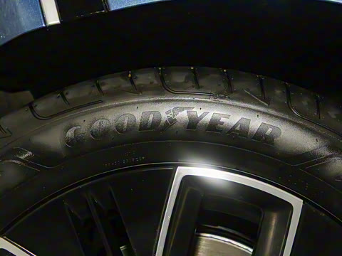 2025�� 725 �������� Max