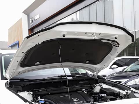 2020�� �Ŀ� 2.0L �Զ�����������