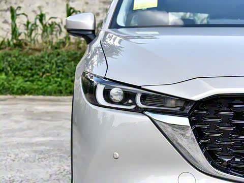 2025�� 2.0L �Զ���������Pro