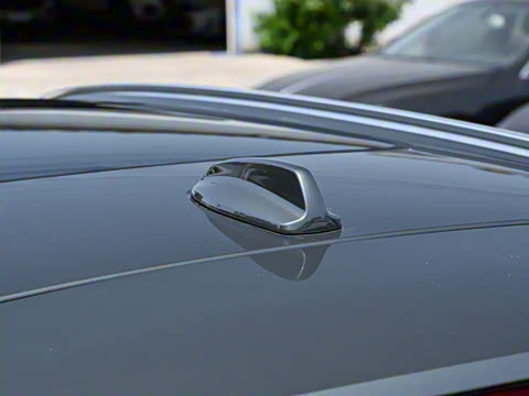 2026�� ���ʽ�춯 �������������ź�����