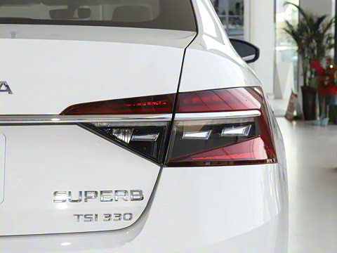 2025�� TSI330 DSG������