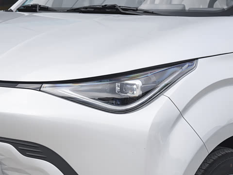 2025�� 305km ������