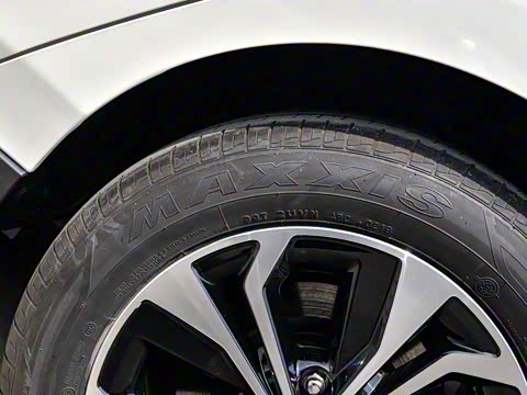 2019�� ������������