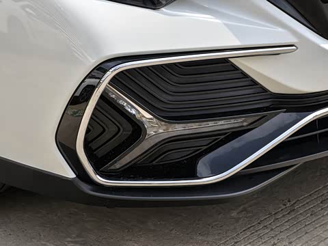 2019�� ������������